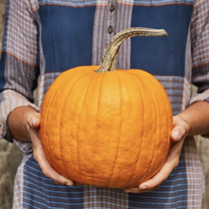 semillas de calabaza ‘Connecticut’